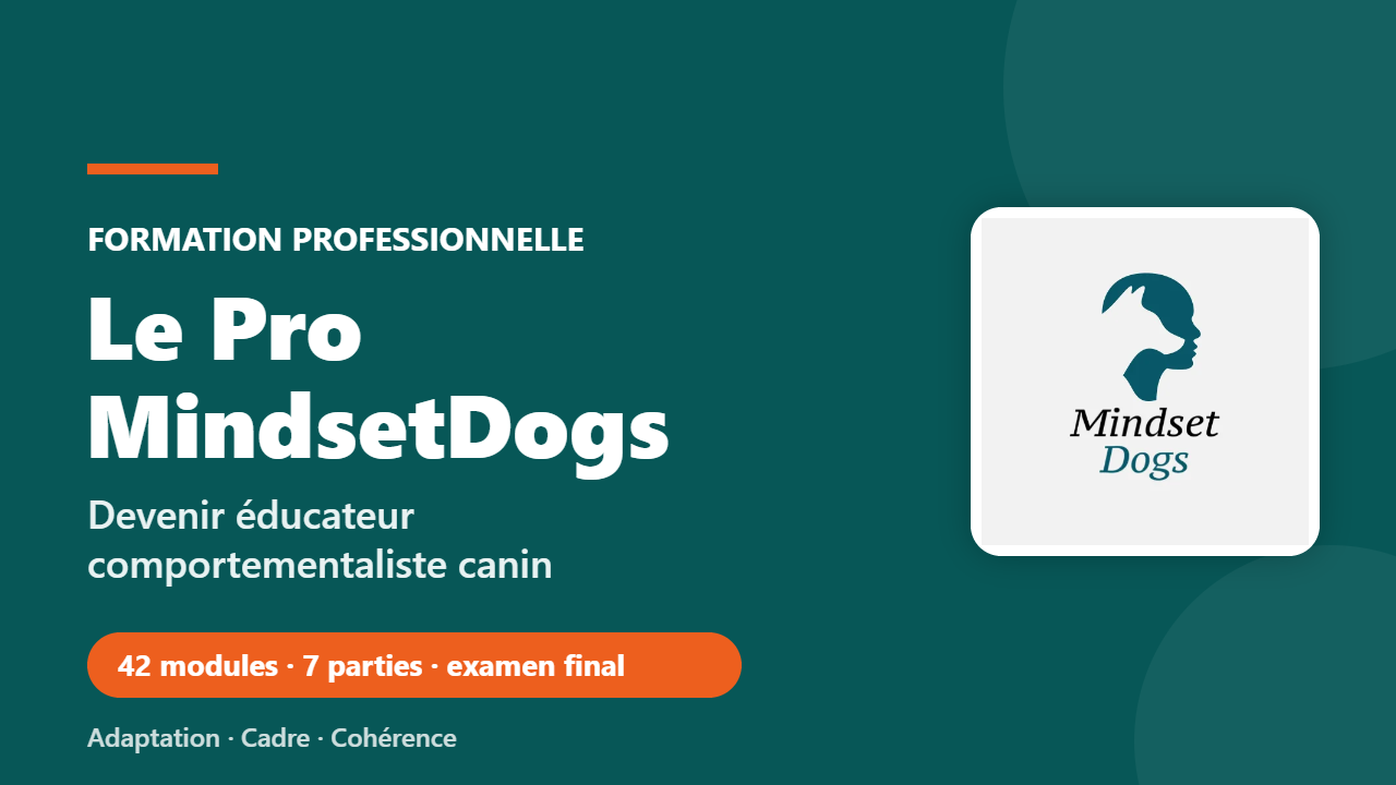 Le Pro MindsetDogs — Devenir éducateur comportementaliste canin