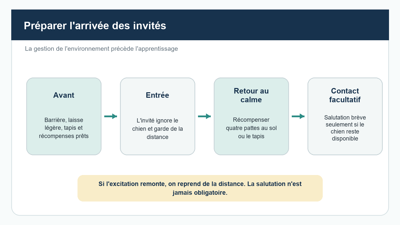 Mon chien saute sur les gens pour dire bonjour : pourquoi et comment lui apprendre à saluer autrement