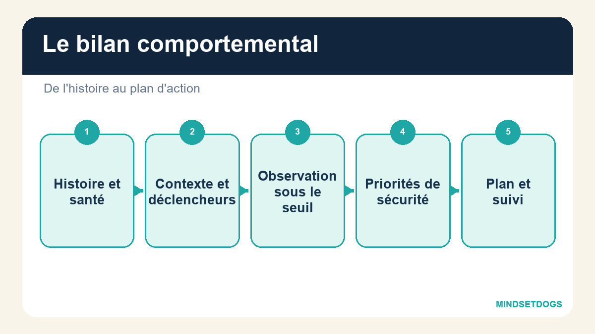 Comment se déroule un bilan comportemental pour un chien ?