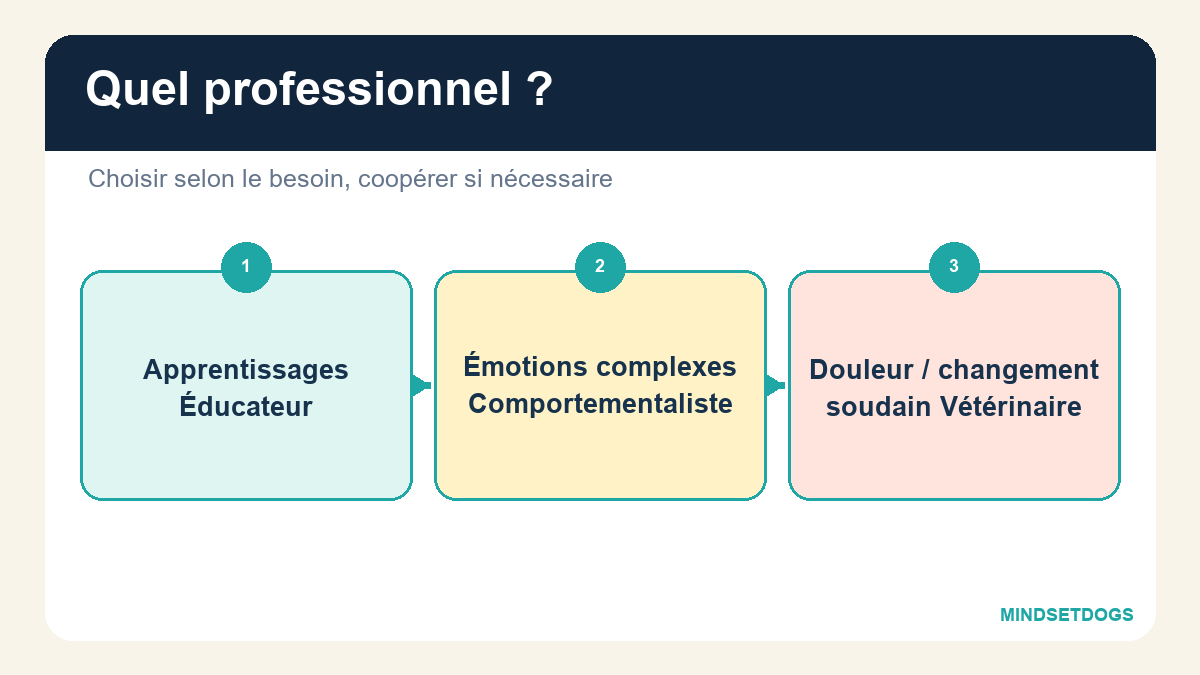 Éducateur canin ou comportementaliste : qui consulter ?