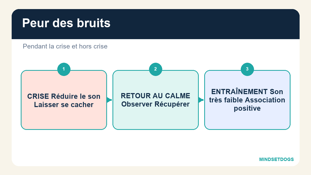 Mon chien a peur des bruits : préparer les orages et les feux d’artifice